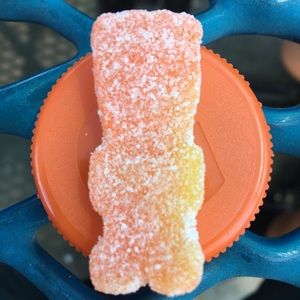 Meet your Posher, Ayla